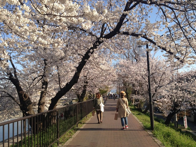 芥川・真上エリアの画像